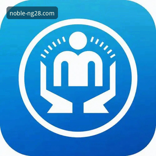 揭秘南宫28APP下载背后的真相：官方入口与渠道对比深度解析