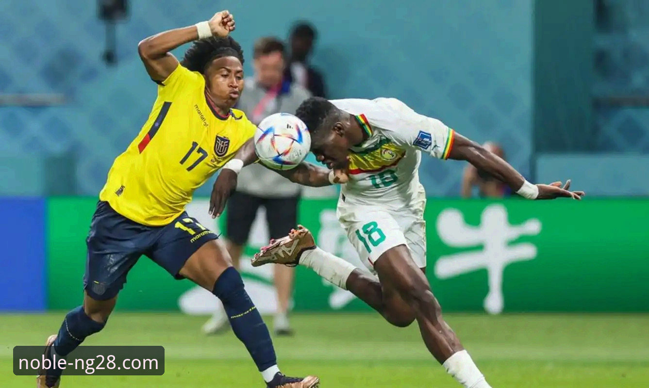 民主刚果重返世界杯的战术革新与历史意义深度分析